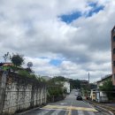 BL 골프 | 파크골프채 길이 줄인 후기
