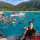 대양 (태권도) 이미지