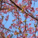 학성공원 화장실 이미지