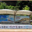 카페 cafe민둥산