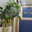 일성프라자 이미지