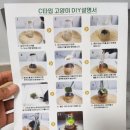 거창창포원 마음 정원 가꾸기(이끼 테라리움 만들기) | 이끼 테라리움 만들기 SET 리뷰! 자연을 책상 위로