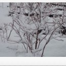 백경농장 이미지