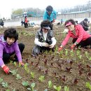 새서울농장 이미지