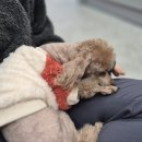 보담동물병원 이미지