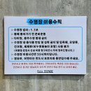 장태산 노랑펜션 | 대전 근교 숙소, 수영장 넓은 세종 풀빌라 펜션 디엠제트