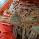 현정이네민박 이미지