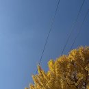 미주약국 | A형 독감 증상 플루라미주 수액 치료 후기 및 부작용