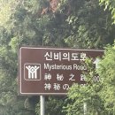 카카오 이미지