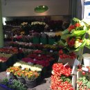 카이저관광 이미지