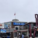샌프란시스코 여행 필수코스 피어39 부댕 클램차우더 후기 & 바다사자 관람 꿀팁