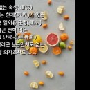 [일반시6.그리움은 햇살을 타고]02.일회용(一回用) 외 6편 이미지