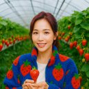 할리농장 이미지