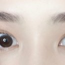 몽브로우