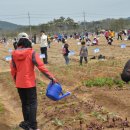 재미농장 이미지