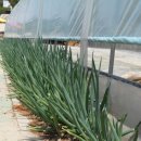 안흥한의원 이미지