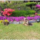 정원민박 이미지