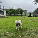 더이상 미룰 수 없다 뜨거웠던 7월 일상 몰아보기