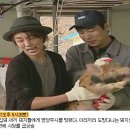 천하통일 이미지