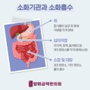 방화금맥한의원 이미지