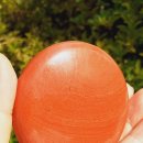 수정-137 이미지