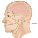 김한의원 이미지
