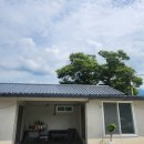 도로시민박 이미지