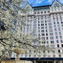 플라자호텔 이미지