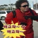 다복상회 이미지
