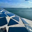 2025년12월9-10일[화수1박]부산투어 흰여울마을 감천마을 동백섬과 해동용궁사 을숙도 자갈치시장까지!! 28인승 이미지