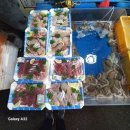 청량리수산시장 | 청량리수산시장 회포장 후기