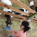 척산농장 이미지