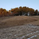 춘천공인중개사사무소 이미지