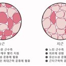 VAWE GYM 네이버블로그