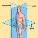 피트니스H PT 헬스 이미지