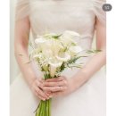 더그레이스2 | [w.2 본식+서브 스냅] 그레이스냅 계약 후기 더세인트 그랜드볼룸홀 짝꿍 이벤트