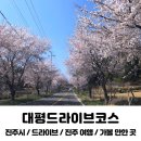 대평면 자전거도로 | 진주 벚꽃명소 추천 대평 드라이브코스 위치 사진 포토존 후기