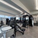 저스트짐 | 포일동헬스장 추천, 대형 헬스장에 지쳐서 찾은 저스트짐 후기