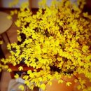 비움(Beum) 이미지