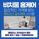 화이트비치움 이미지