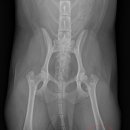 만수동물병원 이미지