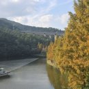 용소웰빙공원 이미지