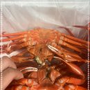 바다킹수산 이미지