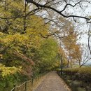 리틀 아쉬람 이미지