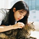 짐 - 북구 함박봉로7번길 49 | 짐