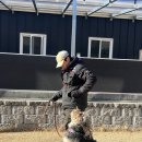 돌담펫호텔 이미지