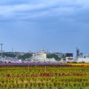 부곡동 돌담해안숲공원 이미지