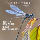 행복나무 이미지