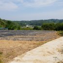 귀농공인중개사사무소 이미지