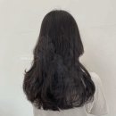노블헤어 이미지